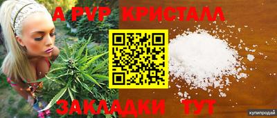 mdma Кингисепп